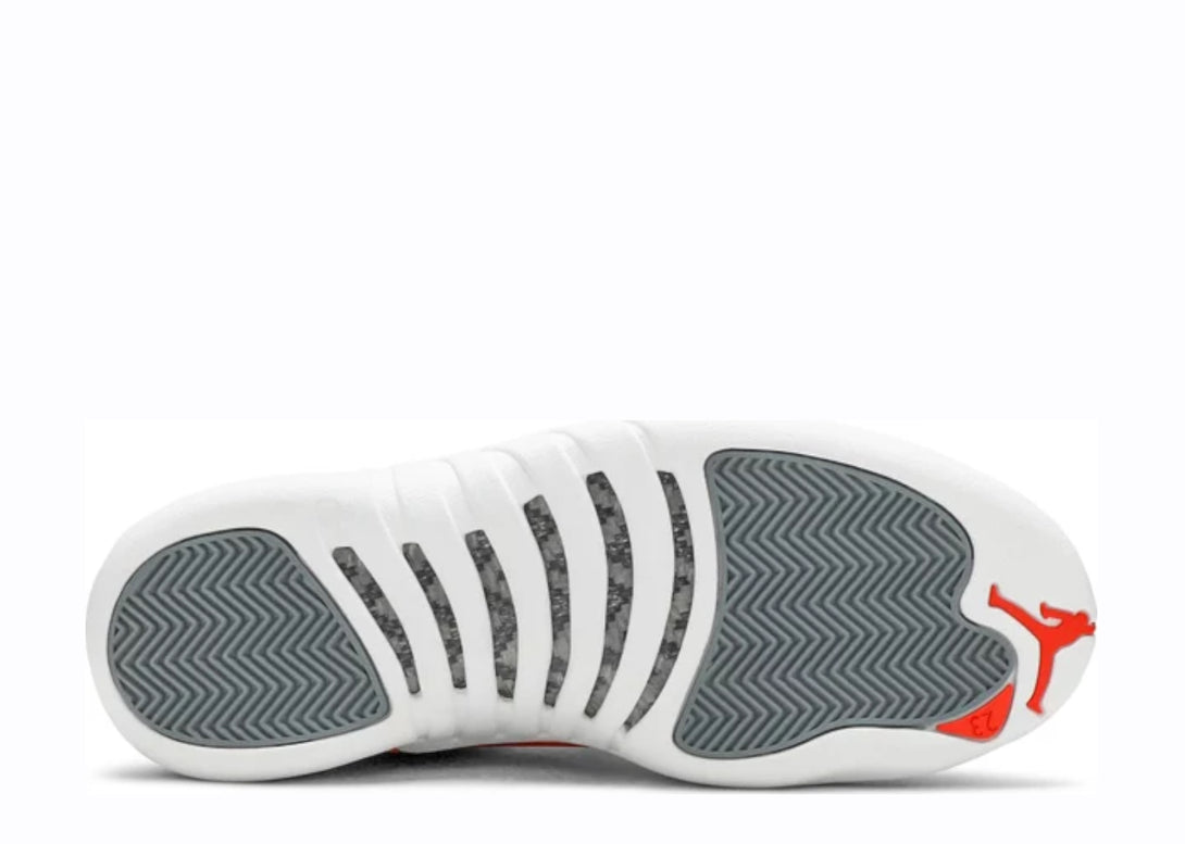 Cool Grey Nike Air Jordan 12