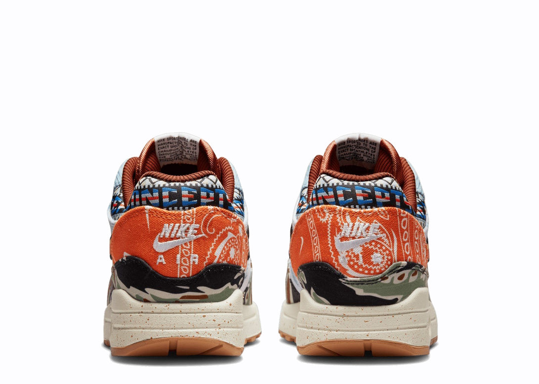 Nike Air Max 1 SP Concepts Heavy sneaker
